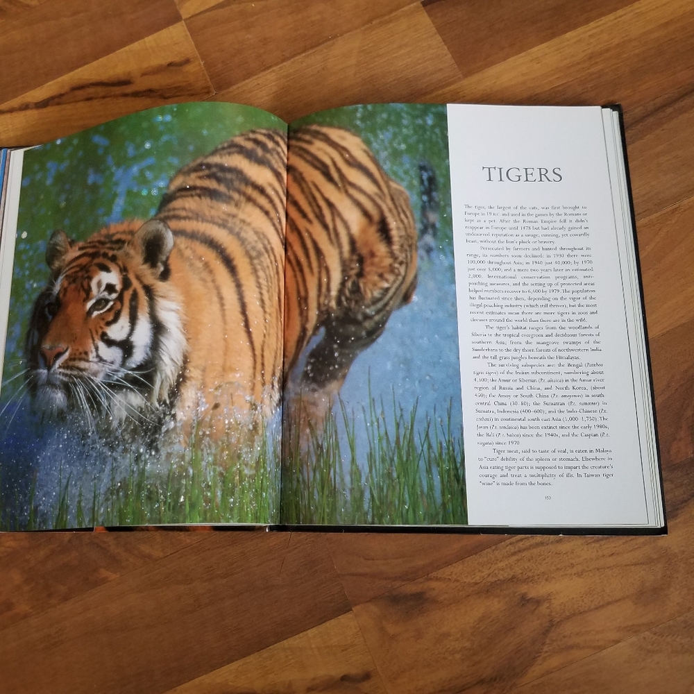 Wild Cats 2011 Flex Cover Briggs Lions and Tigers